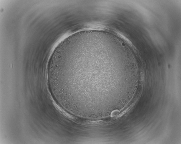 X0000059821471200510241343