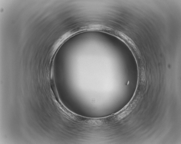 X0000059821473200510241343