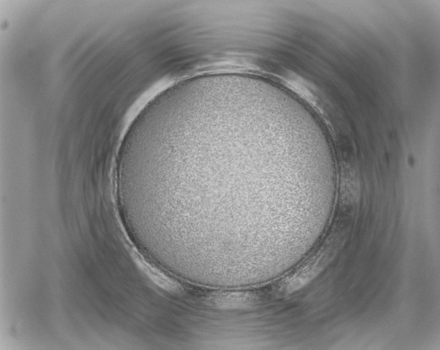 X0000059821474200510241343