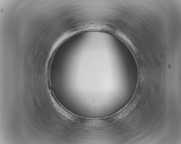 X0000059821475200510241343