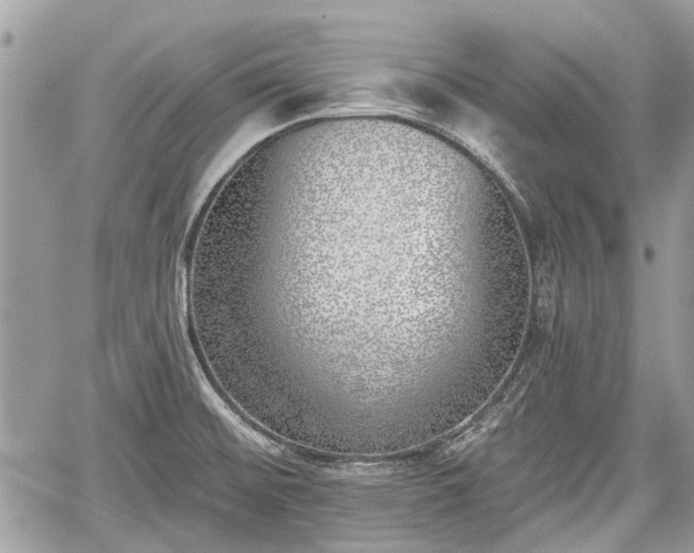 X0000059821476200510241343