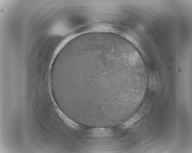 X0000059821478200510241343