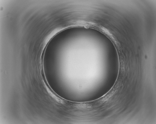 X0000059821479200510241343