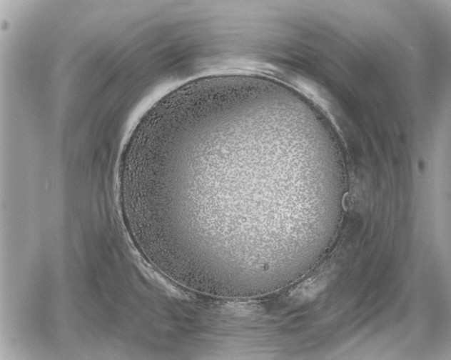 X0000059821480200510241343