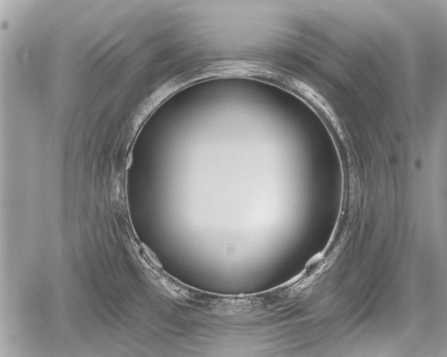 X0000059821481200510241343