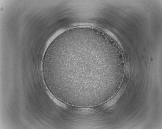 X0000059821482200510241343