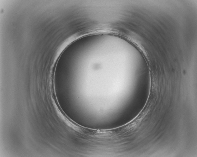 X0000059821483200510241343