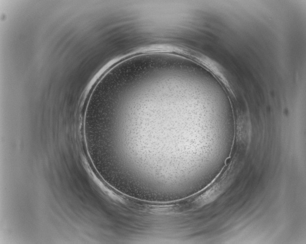 X0000059821484200510241343