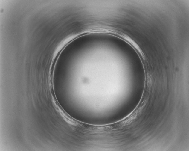 X0000059821485200510241343