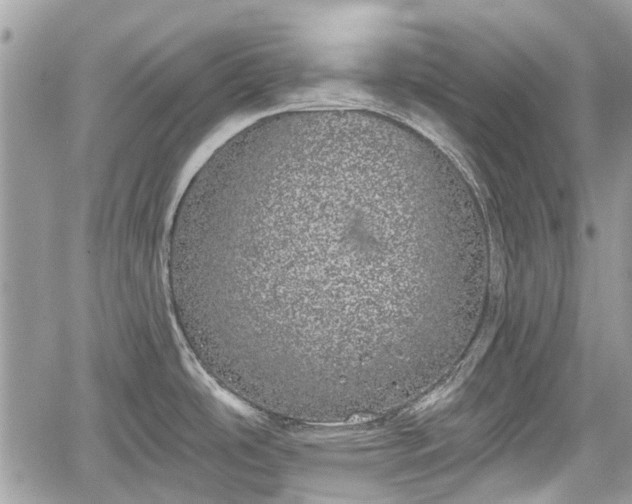 X0000059821486200510241343