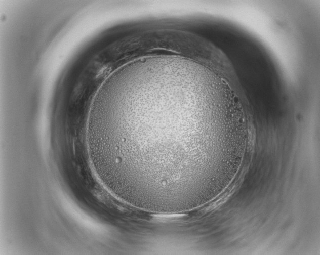 X0000059821487200510241343