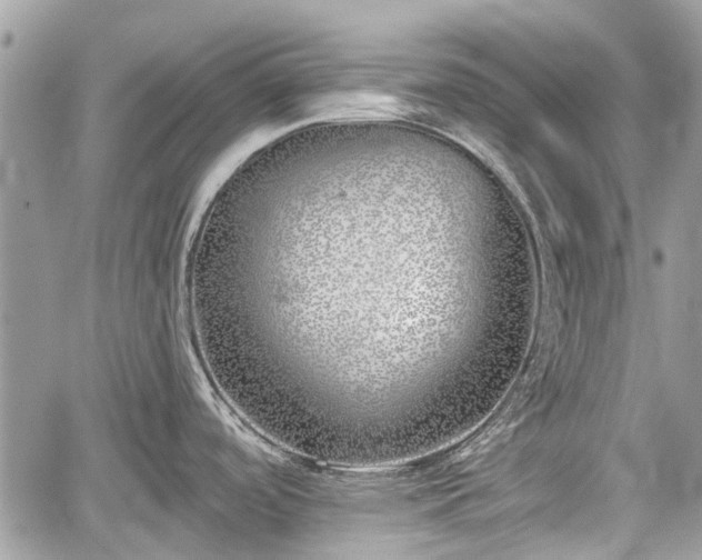 X0000059821488200510241343