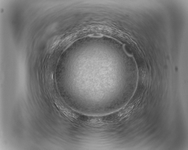 X0000059821489200510241342