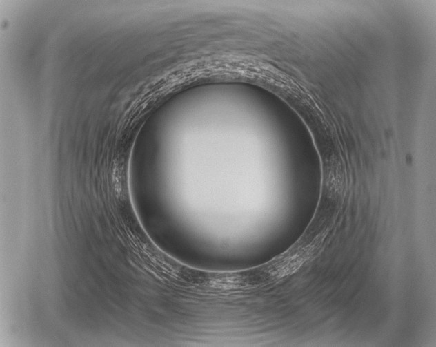 X0000059821490200510241342