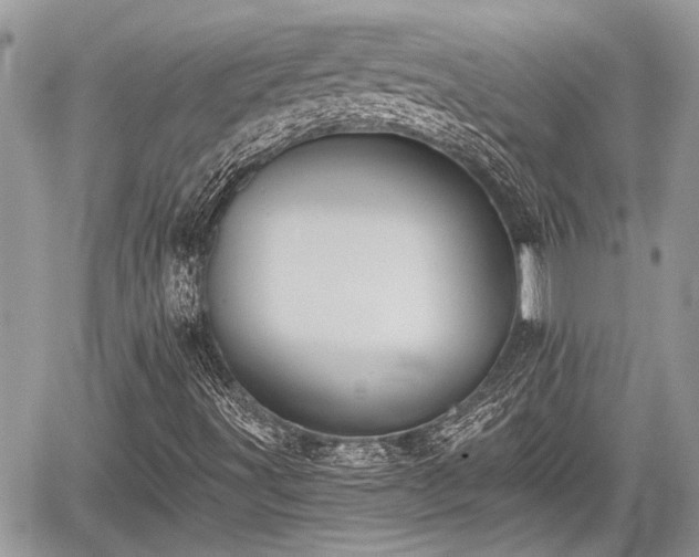 X0000059821491200510241342