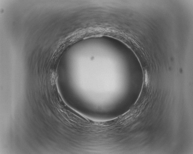 X0000059821492200510241342