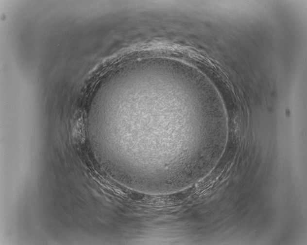 X0000059821493200510241342