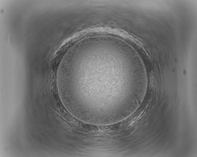 X0000059821494200510241342