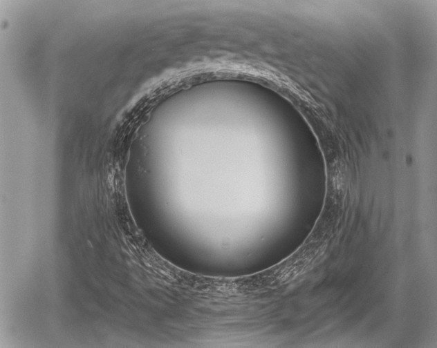 X0000059821495200510241342