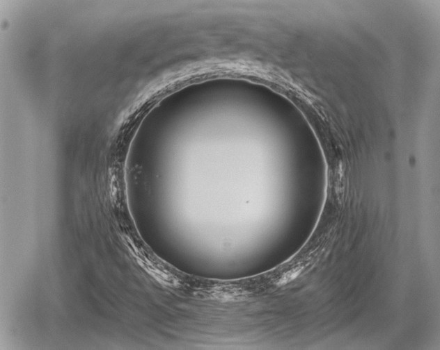 X0000059821496200510241342