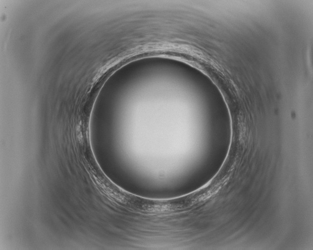 X0000059821497200510241342