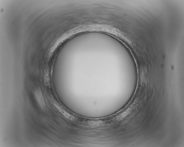 X0000059821498200510241342