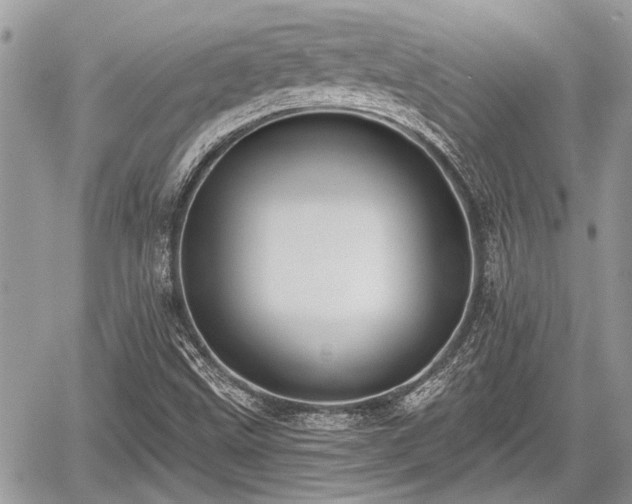 X0000059821499200510241342