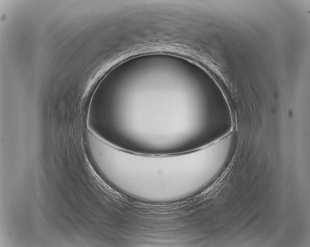 X0000059821500200510241342