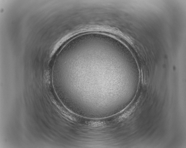 X0000059821501200510241342