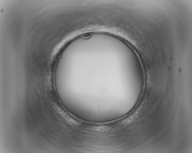 X0000059821502200510241342