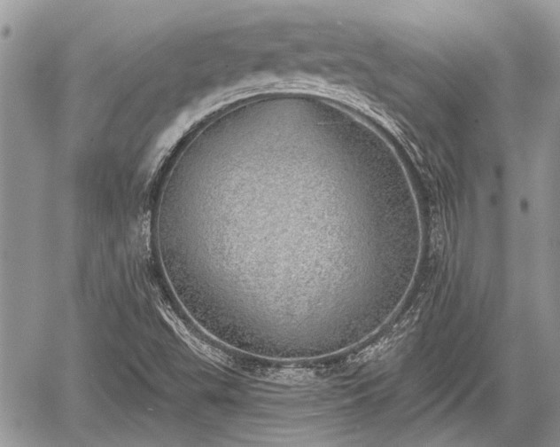 X0000059821503200510241342