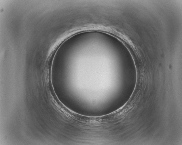 X0000059821504200510241342