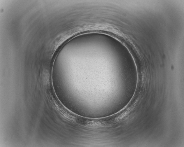 X0000059821505200510241342