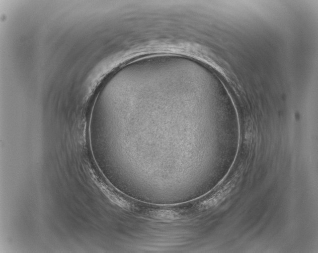 X0000059821507200510241342