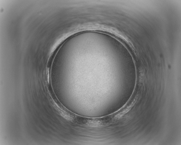 X0000059821509200510241342