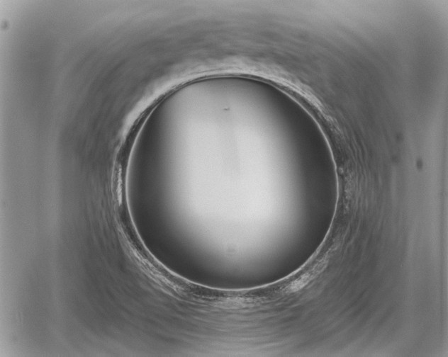 X0000059821510200510241342