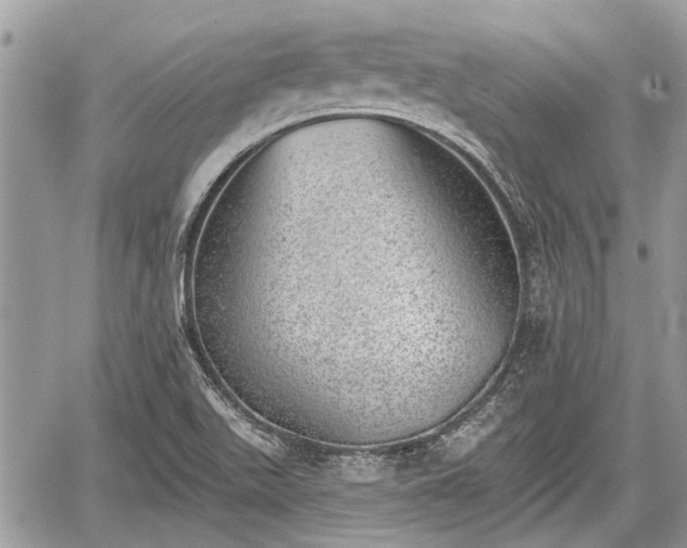 X0000059821511200510241342