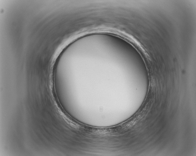 X0000059821512200510241342