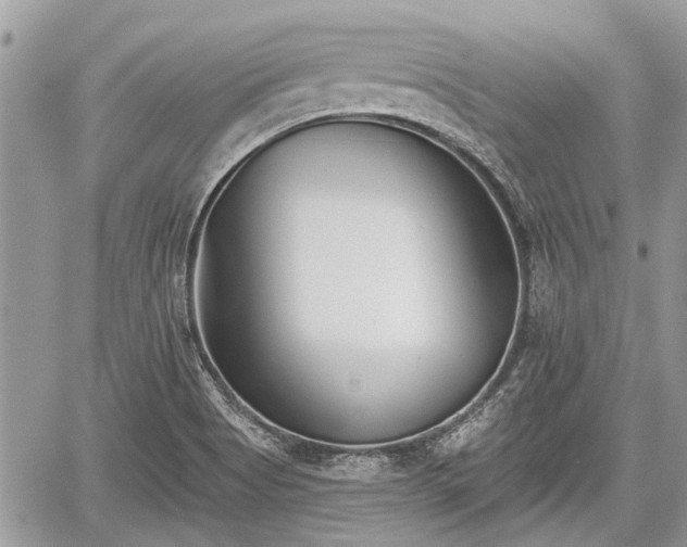 X0000059821513200510241342