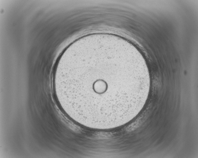 X0000059821514200510241342