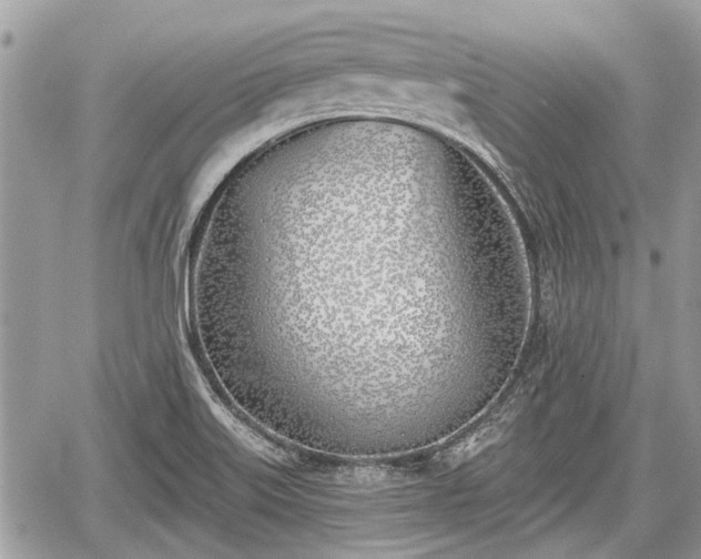 X0000059821515200510241342