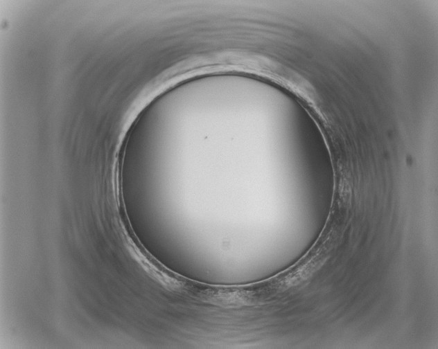 X0000059821516200510241342