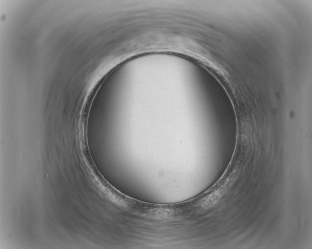 X0000059821517200510241342