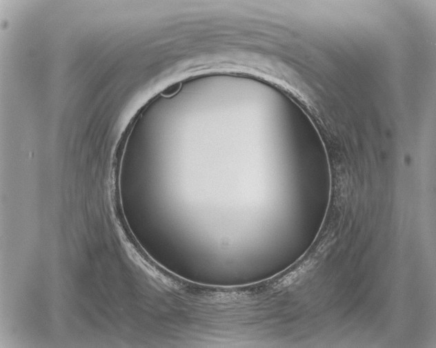 X0000059821518200510241342