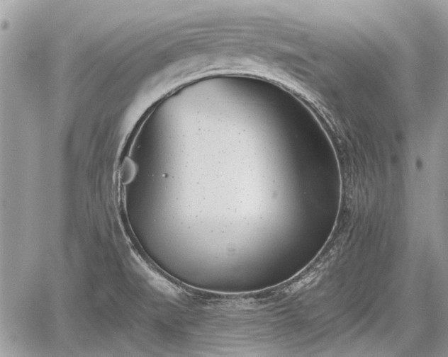 X0000059821519200510241342