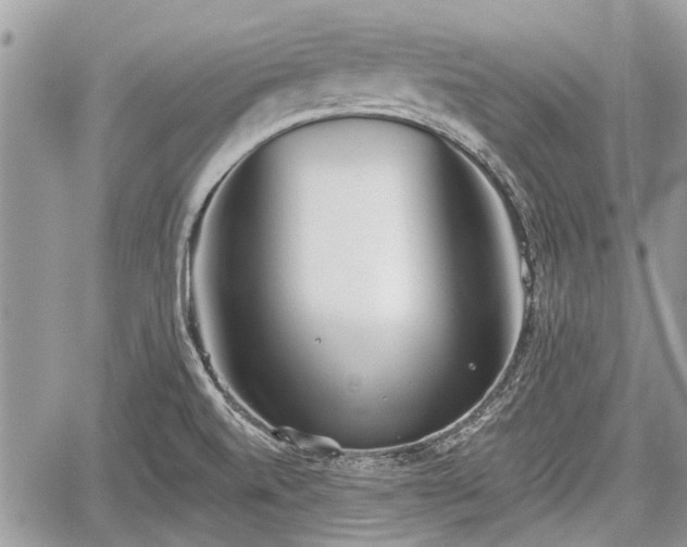 X0000059821520200510241342