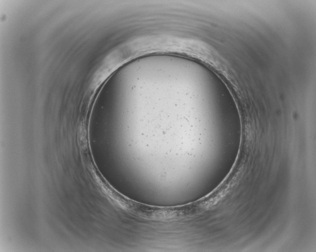 X0000059821521200510241342