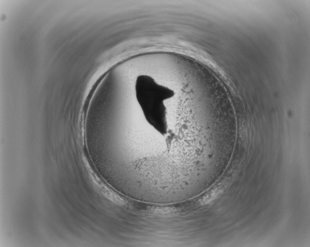 X0000059821522200510241342