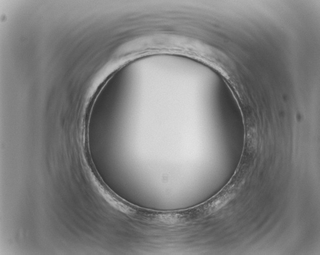 X0000059821523200510241342