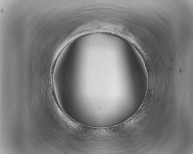 X0000059821524200510241342